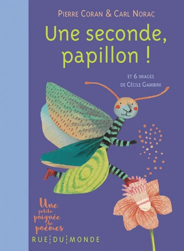 Couverture de Une seconde, papillon !