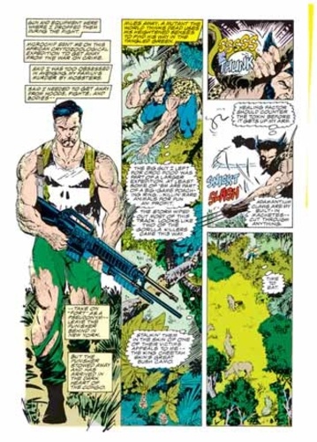 The Punisher  Journal de guerre