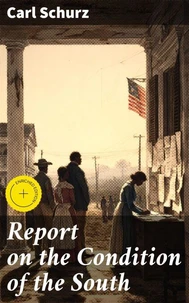 Report on the Condition of the South