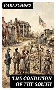 The Condition of the South