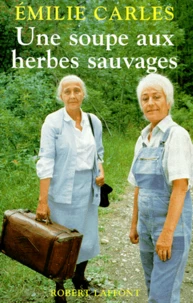 Une Soupe Aux Herbes Sauvages