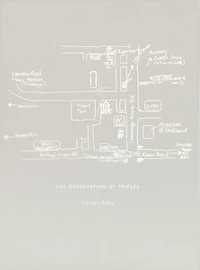The observation of trifles