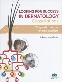 Looking for success in dermatology consultations
