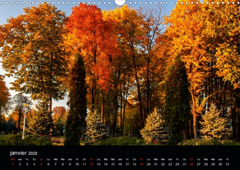CALVENDO Nature  Magie de l'automne (Calendrier mural 2020 DIN A3 horizontal). L'automne, la plus belle saison ! (Calendrier mensuel, 14 Pages )
