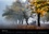 CALVENDO Nature  Magie de l'automne (Calendrier mural 2020 DIN A4 horizontal). L'automne, la plus belle saison ! (Calendrier mensuel, 14 Pages )
