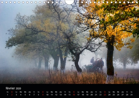 CALVENDO Nature  Magie de l'automne (Calendrier mural 2020 DIN A4 horizontal). L'automne, la plus belle saison ! (Calendrier mensuel, 14 Pages )