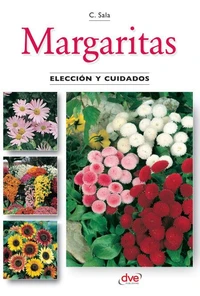 Margaritas - Elección y cuidados