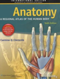 Anatomy