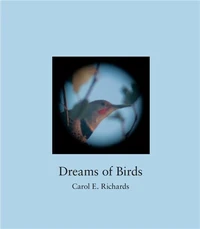 Dreams of Birds