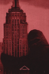 Carol Willis - Form Follows Finance - L'Empire State Building et les forces qui l'ont façonné.