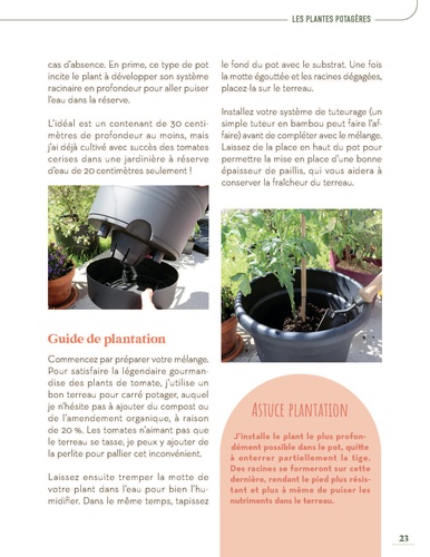 Mon potager en pots