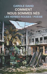 Comment nous sommes nés