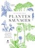 Carole Minker - Le guide des plantes sauvages - 100 plantes essentielles aux vertus bienfaisantes.