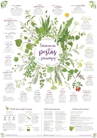 Savoureux pestos sauvages
