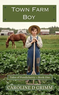 Town Farm Boy