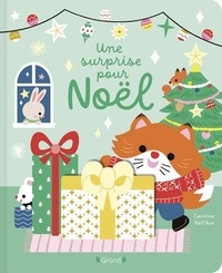 Caroline Dall'Ava - Une surprise pour Noël.