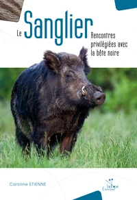 Le sanglier