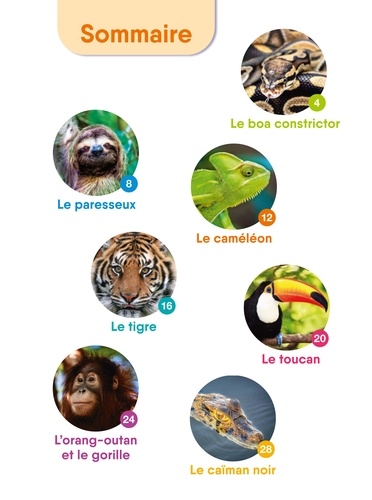 Les animaux de la jungle. Début et milieu de CP