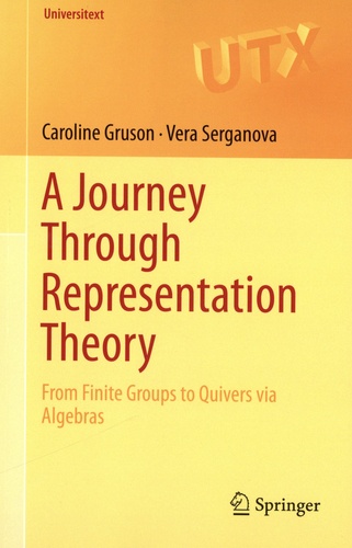 A Journey through Representation Theory. From Finite Groups to Quivers via Algebras