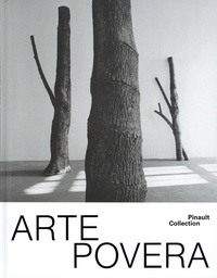 Ebooks téléchargés ipad Arte povera - 300 millions d’années