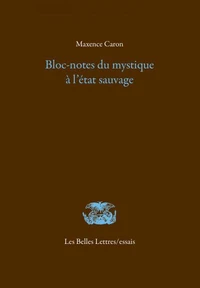 Bloc-notes du mystique à l'état sauvage