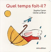 Quel temps fait-il ?