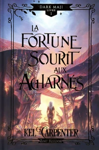 La fortune sourit aux acharnés