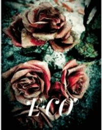 E-Co /ANGLAIS/ESPAGNOL