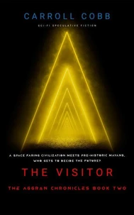The Visitor