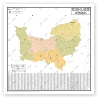 Geo reflet Editions - Carte Administrative de La Région Normandie -poster Plastifié 120x120cm.