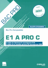 E1 A Pro C Bac pro comptabilité