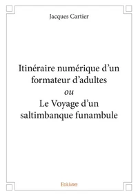 Itinéraire numérique d’un formateur d’adultes ou le voyage d'un saltimbanque funambule