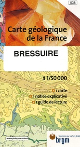 Patrick Rolin et J Audru - Bressuire - 1/50 000.