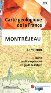 Montréjeau - 1/50 000.pdf