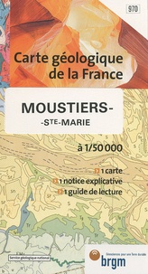  BRGM - Moustiers-Ste-Marie - 1/50 000.