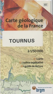 Tournus