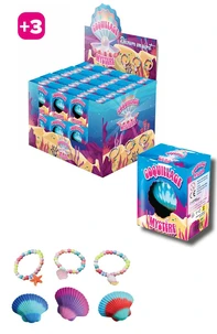 Display 24 coquillages mystère