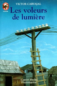 Les Voleurs de lumière