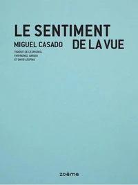 Le sentiment de la vue