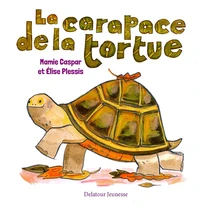 La carapace de la tortue