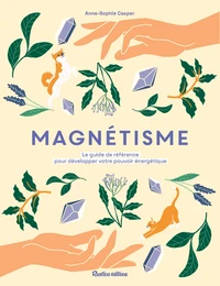 Magnétisme