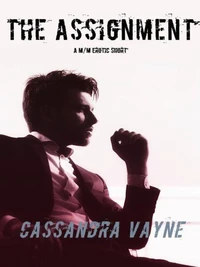 The Assignment: A M/M Erotic Short