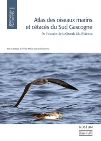 Atlas des oiseaux marins et cétacés du sud Gascogne