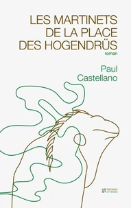 Les martinets de la place des Hogendrüs