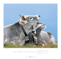  Castor et Pollux - Calendrier fous de vaches.