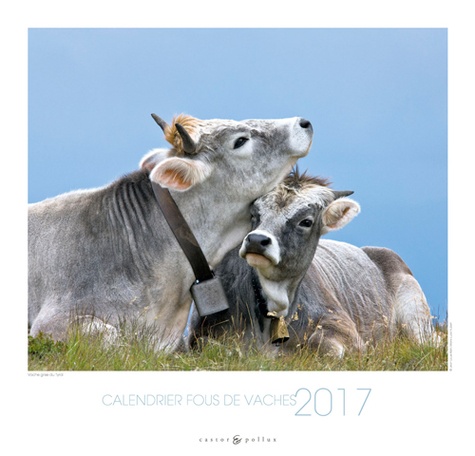 Calendrier fous de vaches  Edition 2017