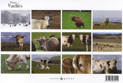  Castor & Pollux - Fous de vaches - Calendrier 2008.
