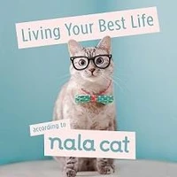 Living your best life according to Nala Cat
