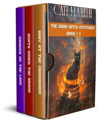 The Viking Witch Mysteries Books 1-3