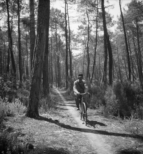 Voyages à Vélo. Du vélocipède au Vélib'